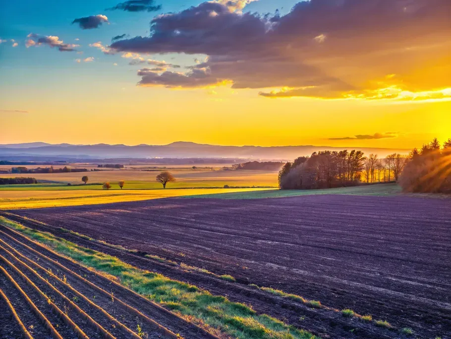 Sunset over farmland illustrating value and stability in asset accounting for land